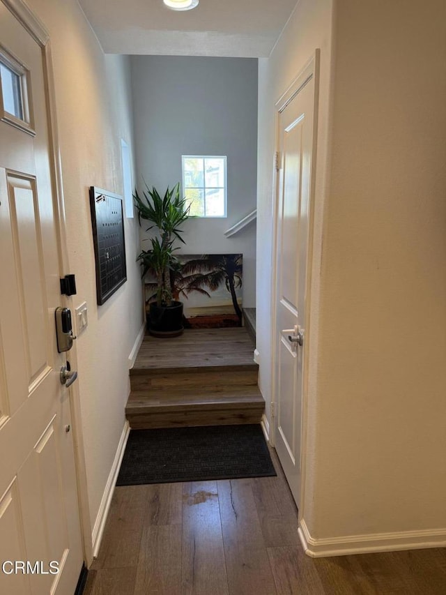 hall featuring dark hardwood / wood-style floors