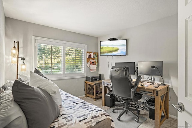 interior space with light colored carpet