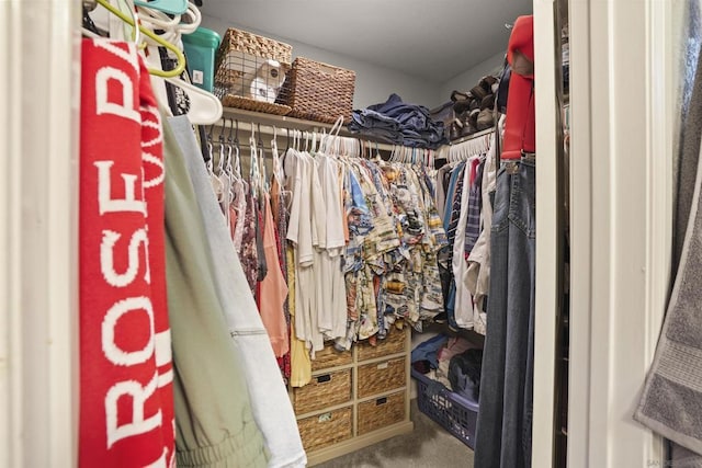 spacious closet featuring carpet