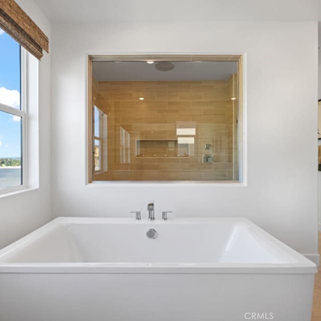 bathroom featuring a bathing tub