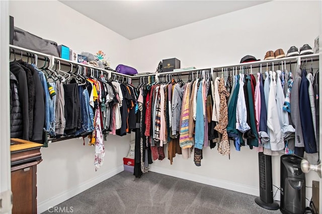 walk in closet featuring carpet floors