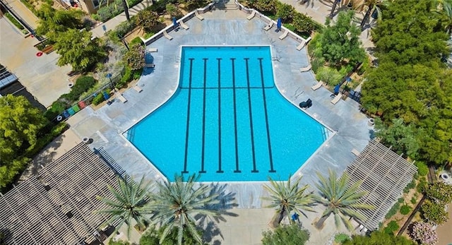 view of swimming pool