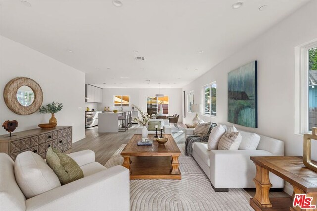 living room featuring light wood-type flooring