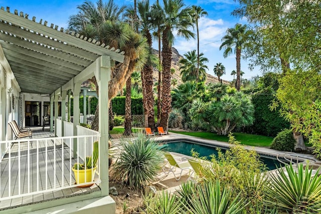 view of pool with a patio