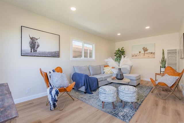 living room with light wood-type flooring