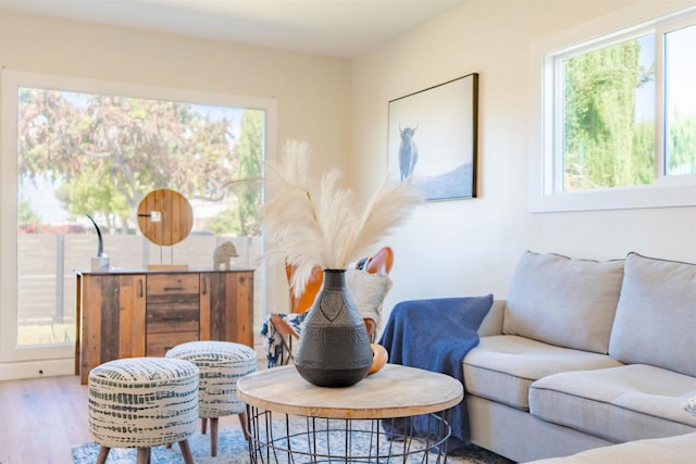 living room featuring hardwood / wood-style floors