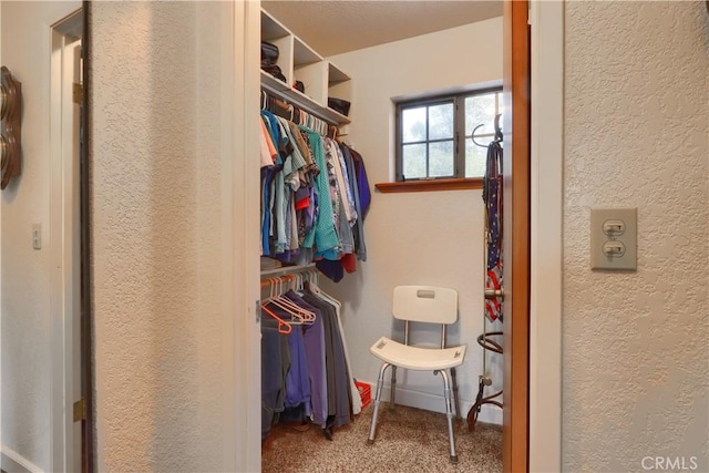 walk in closet featuring carpet