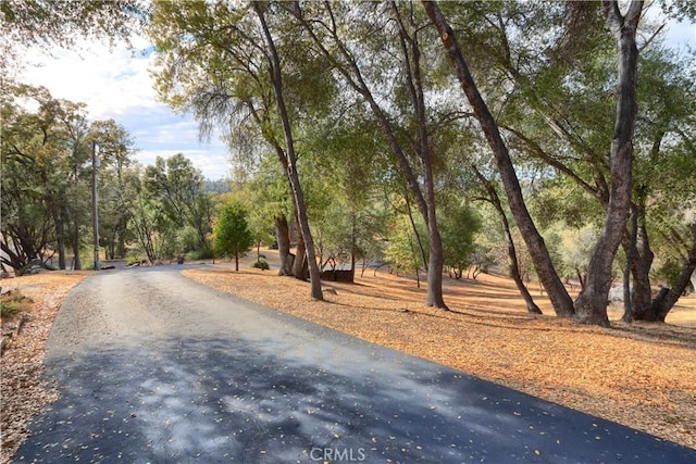 view of road