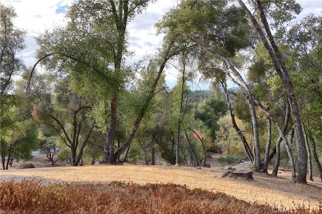 view of landscape