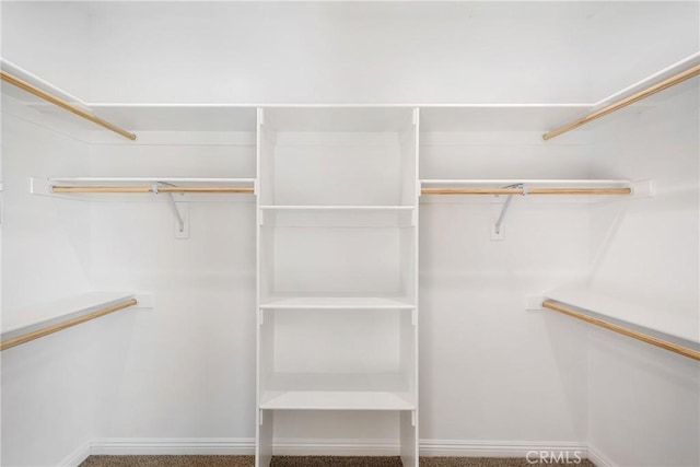 spacious closet featuring carpet floors