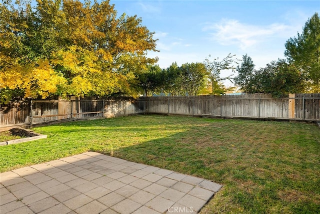 view of yard with a patio