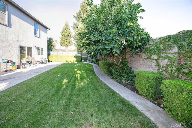 view of yard featuring a patio area