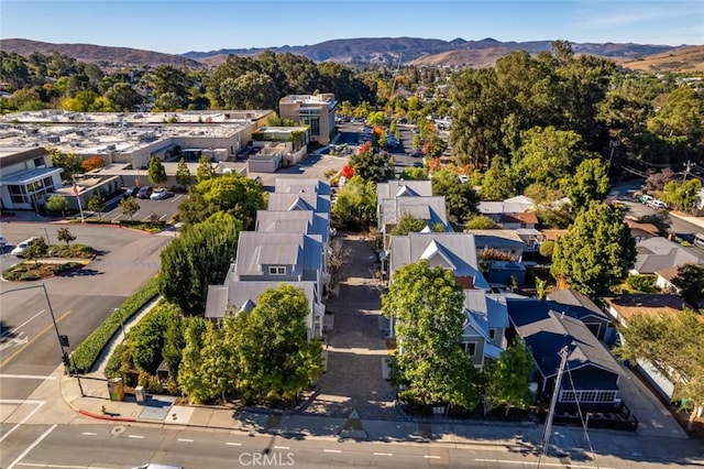 1771 Johnson Ave, San Luis Obispo, CA 93401 - photo 69
