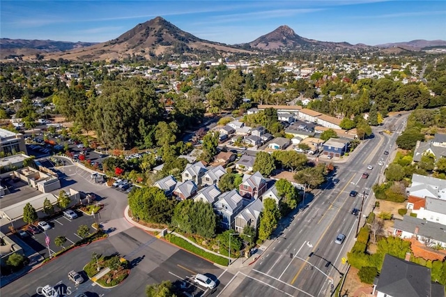 bird's eye view with a residential view and a mountain view