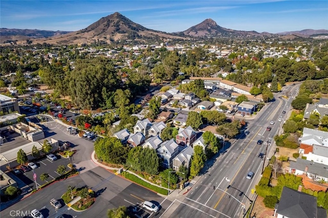 1771 Johnson Ave, San Luis Obispo, CA 93401 - photo 62