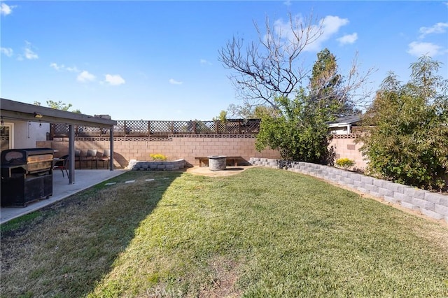 view of yard with a patio