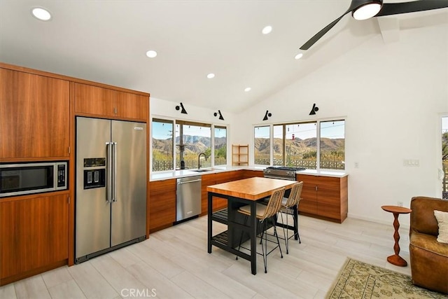 kitchen featuring ceiling fan, sink, light hardwood / wood-style flooring, a mountain view, and appliances with stainless steel finishes