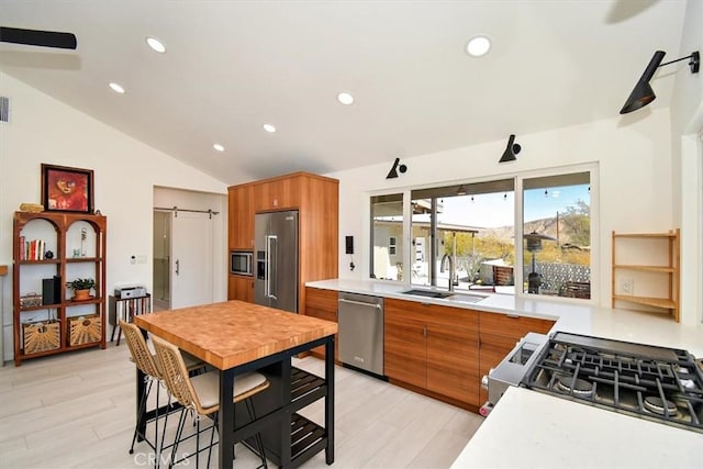 kitchen with sink, a barn door, lofted ceiling, appliances with stainless steel finishes, and light wood-type flooring