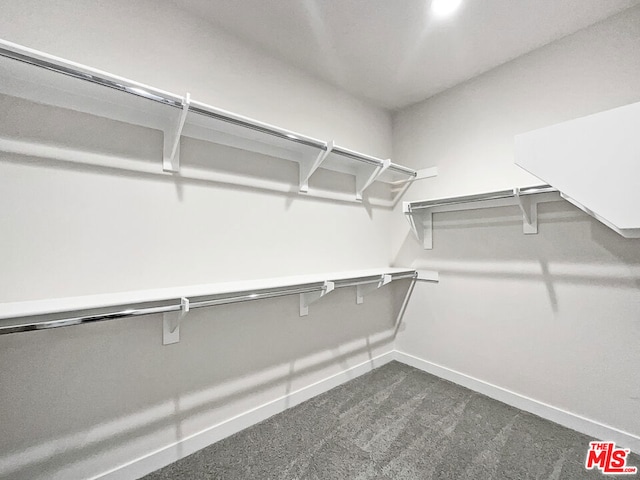 spacious closet with dark carpet