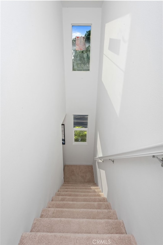 staircase featuring carpet floors