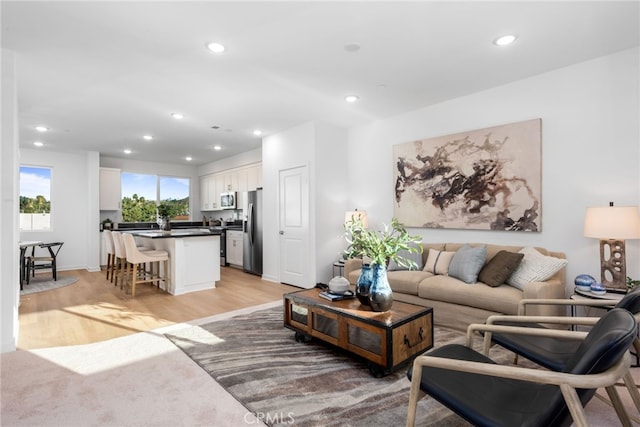 living room featuring light hardwood / wood-style floors