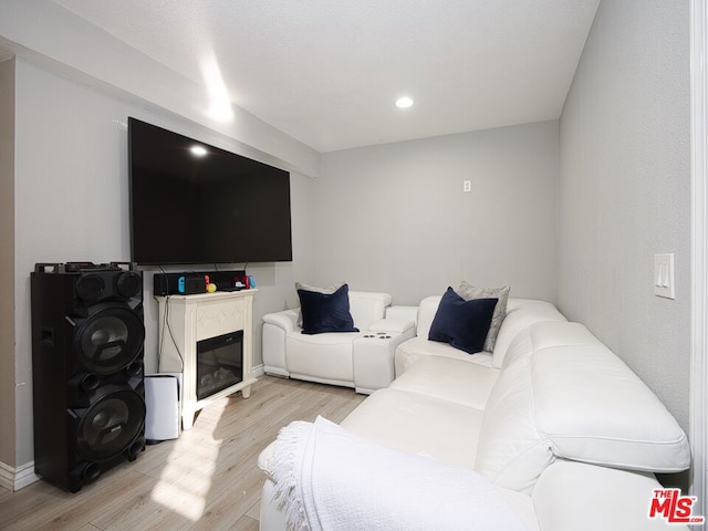 living room with light hardwood / wood-style flooring