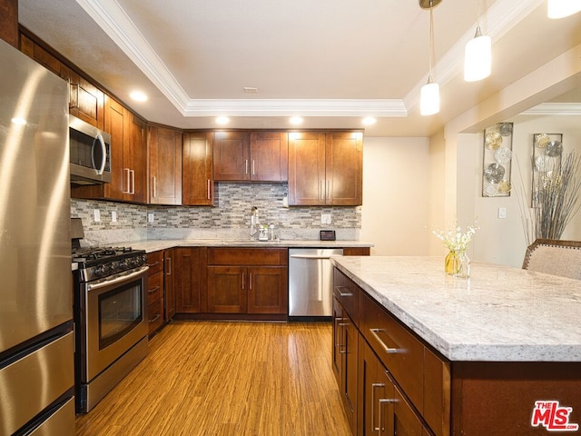 kitchen featuring appliances with stainless steel finishes, light hardwood / wood-style floors, a raised ceiling, and ornamental molding