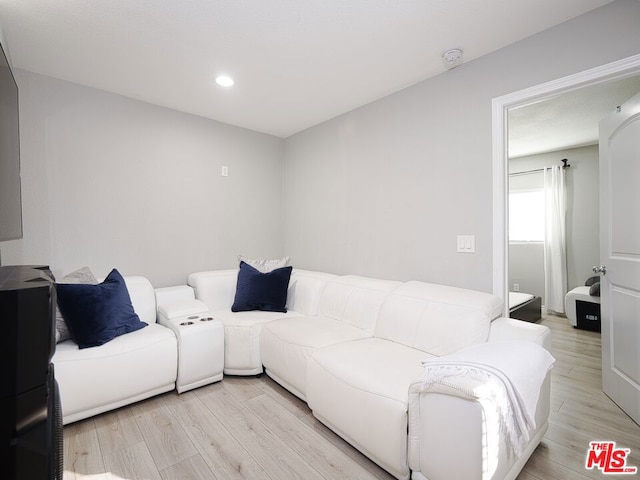 living room featuring light hardwood / wood-style flooring