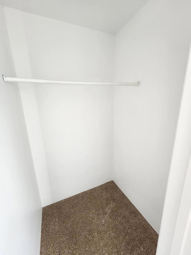 spacious closet featuring carpet