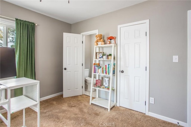 interior space with light colored carpet