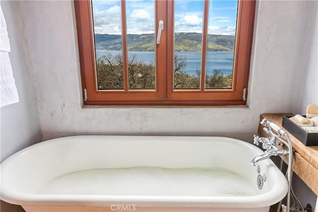 bathroom featuring a bathtub and a water view