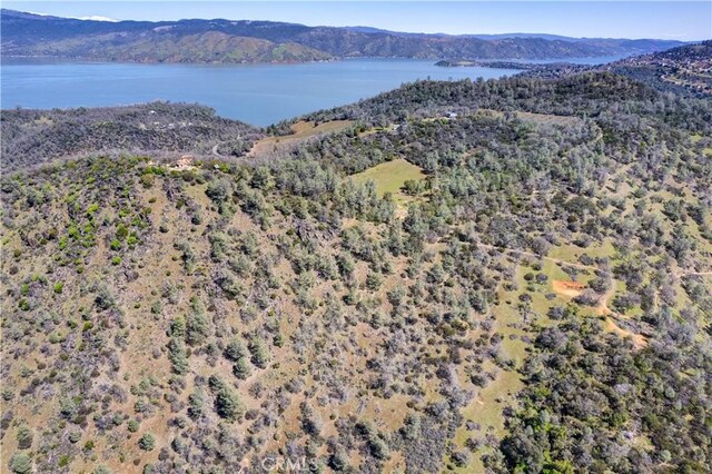 3520 Michelle Dr, Kelseyville, CA 95451 - photo 70