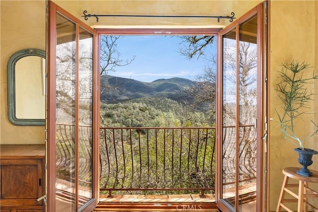 doorway featuring a mountain view and a wealth of natural light