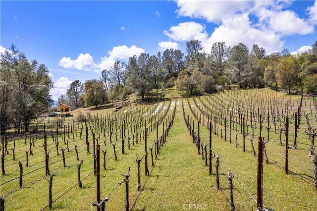 3520 Michelle Dr, Kelseyville, CA 95451 - photo 66