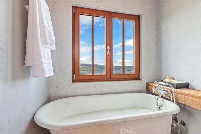 bathroom featuring a tub to relax in and plenty of natural light