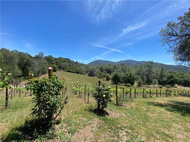 3520 Michelle Dr, Kelseyville, CA 95451 - photo 67