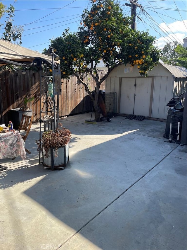 view of yard featuring a storage unit and a patio