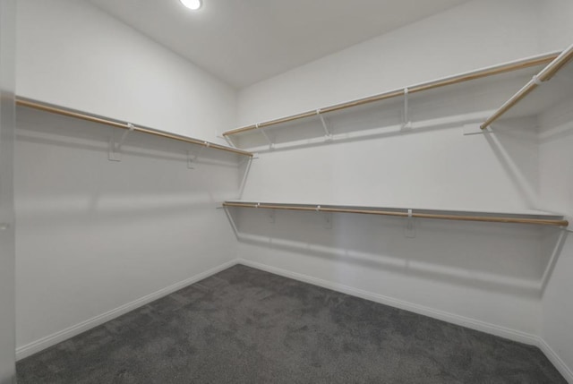 spacious closet featuring dark colored carpet