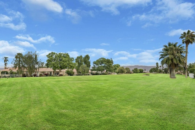 view of home's community with a lawn and a mountain view