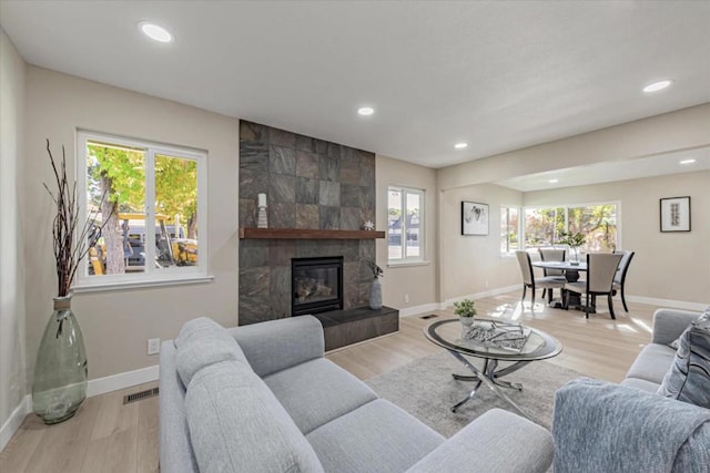 living room featuring a fireplace and light wood-type flooring