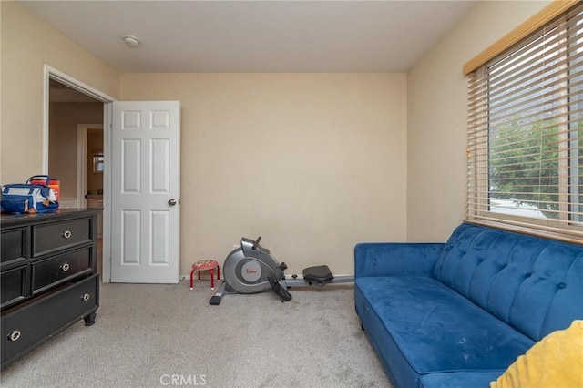 sitting room with light carpet