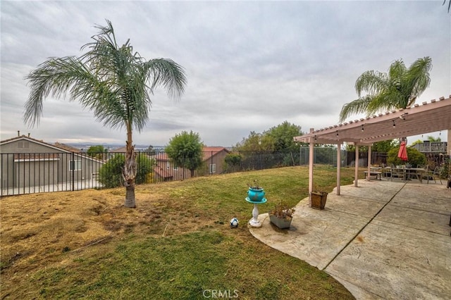 view of yard featuring a patio area