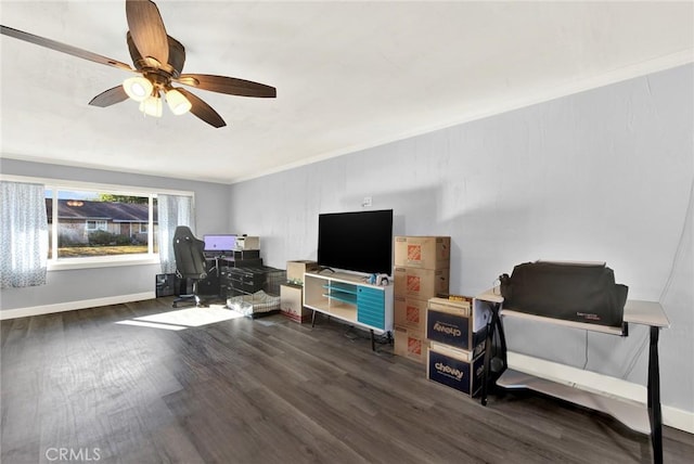 office featuring dark hardwood / wood-style floors, ceiling fan, and crown molding