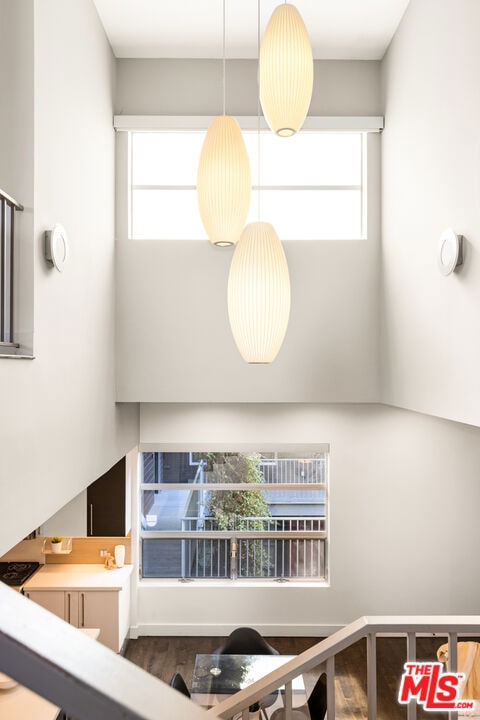 interior space featuring a healthy amount of sunlight and wood-type flooring