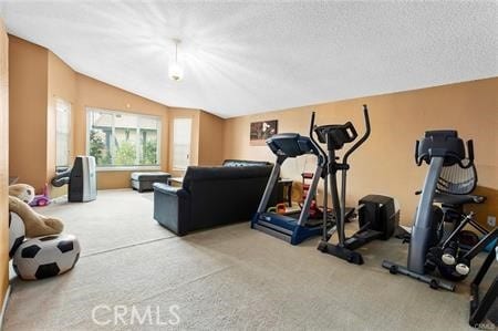 exercise room featuring carpet, a textured ceiling, and vaulted ceiling