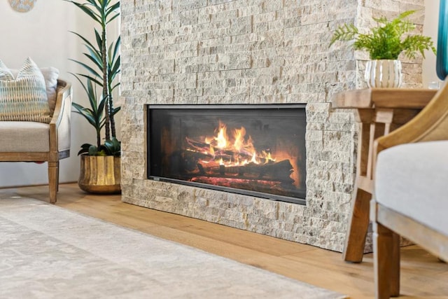 details featuring wood-type flooring and a fireplace