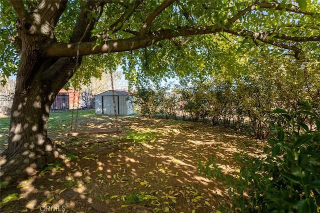 view of yard featuring a shed