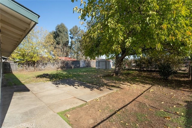 view of yard featuring a patio area and a shed