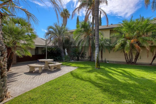 view of yard featuring a patio area