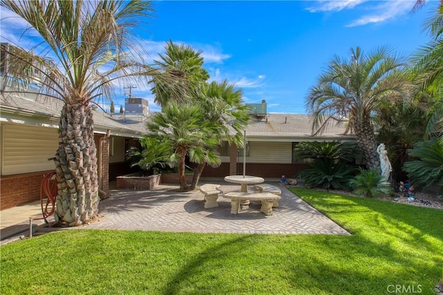 view of yard featuring a patio area